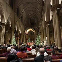St. Joseph Cathedral - Christmas Midnight Mass, Choir & Music starts at 11pm, December 24th. All are welcome, regardless of Faith (or lack thereof).