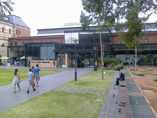 South Australian Museum by null
