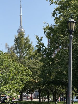 Trinity-Bellwoods by null