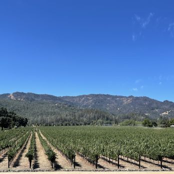 HALL Wines - View from the pario - Wineries Near Me - Saint Helena, California HALL Wines - View from the pario - Wineries Near Me - Saint Helena, California