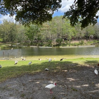 Amelia Earhart Park - Parks Near Me - Hialeah, Florida Amelia Earhart Park - Parks Near Me - Hialeah, Florida