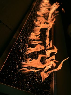 The Last Page by null