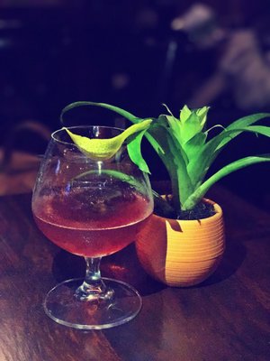 Queens Bully by null