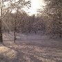 Photo of Park Lotników Polskich