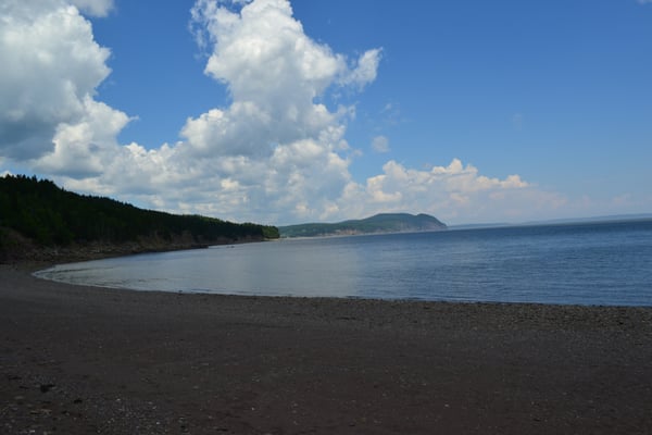 Fundy National Park Of Canada by null