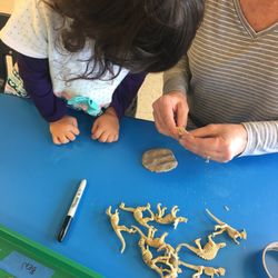 Ascension Lutheran Extended Day Preschool - Dinosaur fossils