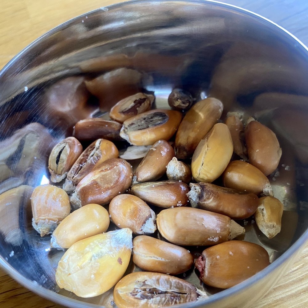 Canchita, Peruvian popcorn, free snack