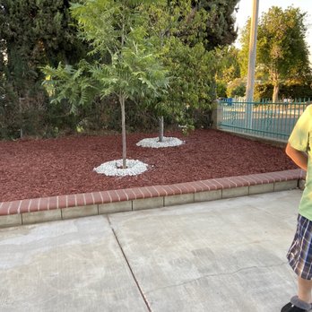 Eder Tree Service and Lawn Maintenance - Tree Services Near Me Eder Tree Service and Lawn Maintenance - Tree Services Near Me