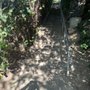 Photo of Esther's Steps