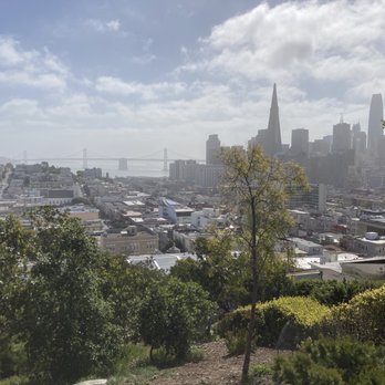 Ina Coolbrith Park - The view from Ina Coolbrith Park - Parks Near Me - San Francisco, California