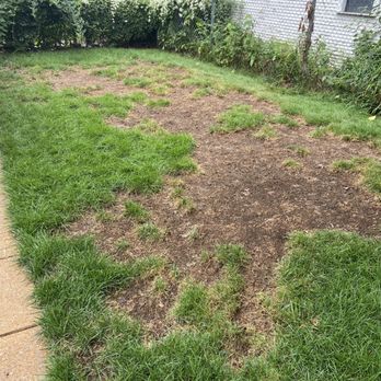 Loyalty Lawn Care - September 2022 - Pest Control Near Me - Saint Charles, Missouri Loyalty Lawn Care - September 2022 - Pest Control Near Me - Saint Charles, Missouri