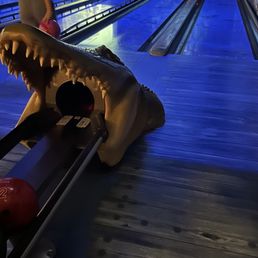 Alligator ball return. There are different creatures Alligator ball return. There are different creatures