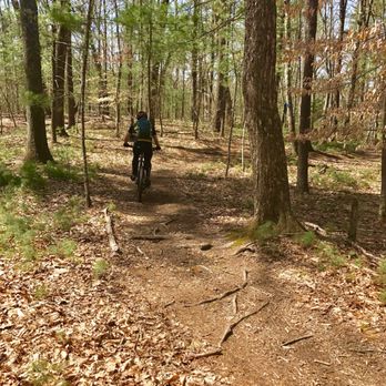 Willowdale State Forest - Great trails for bikers - Hiking Near Me - Ipswich, Massachusetts