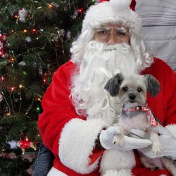 All About Pets Grooming & Boarding - Marry Christmass and Happy new year 2025 to all our Customers! See you next december 2025 for free ppicture! Thank you  everyone!