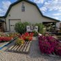Jacquemin Farms