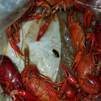 Bayou Kitchen Crawfish King - The roach at the bottom of the bag - Food Trucks Near Me - Houston, Texas Bayou Kitchen Crawfish King - The roach at the bottom of the bag - Food Trucks Near Me - Houston, Texas
