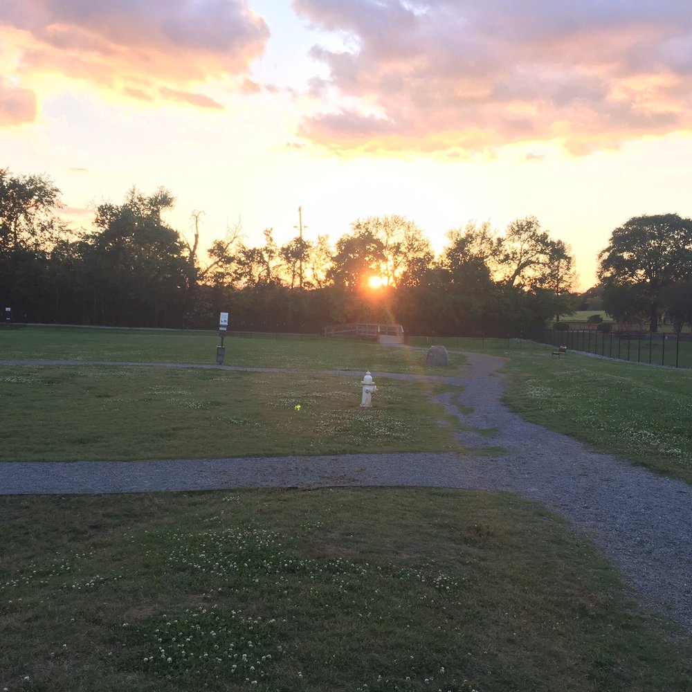 Hannah Daye Ridling Bark Park - Dog Parks Near Me - Montgomery, Alabama Hannah Daye Ridling Bark Park - Dog Parks Near Me - Montgomery, Alabama