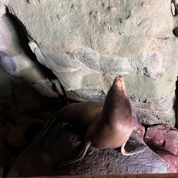 Cave Store - Walking Tours Near Me - La Jolla, California