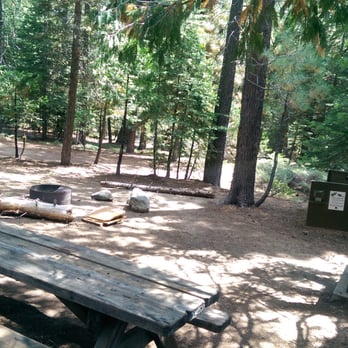 Sugar Pine Point State Park - Camp site #54 with a table, bear locker, 2 fire pits + ample space for 3 tents - Parks Near Me - Meeks Bay, California