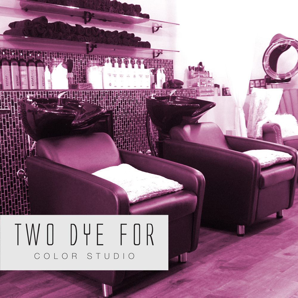 Two Dye For Color Studio Logo