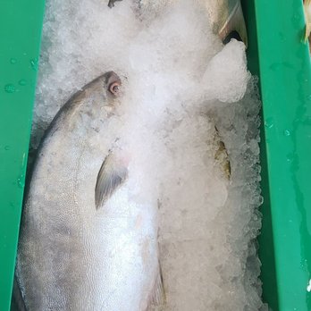 Red Sea - Seafood Markets Near Me - New York, New York