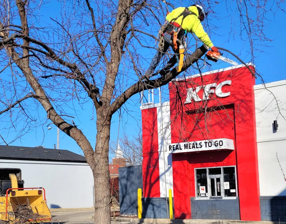 Shults Tree Service - tree service in Louisville, KY