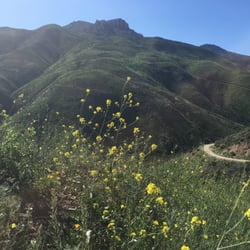 Take a Hike