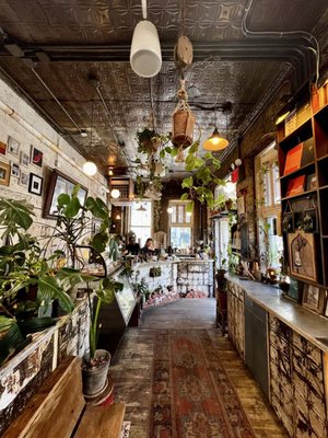 PPL by null PPL by null