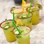 Southern Standard Elevated Bar Services