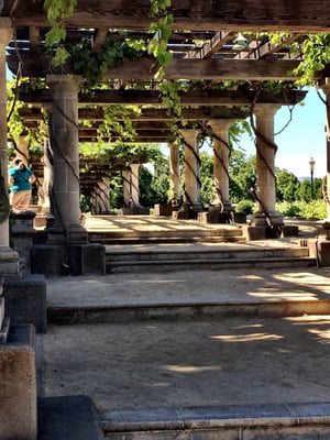 Napa Valley Wine Country Tours by null