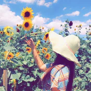 Mortimer Farms - Attraction Farms Near Me - Dewey, Arizona Mortimer Farms - Attraction Farms Near Me - Dewey, Arizona