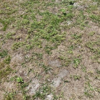 Greenworks - a patch of grass that has been mowed - Pest Control Near Me - Plant City, Florida Greenworks - a patch of grass that has been mowed - Pest Control Near Me - Plant City, Florida