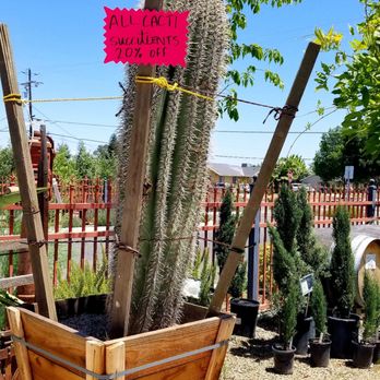 Fernwood Gardens - Nurseries & Gardening Near Me - Madera, California