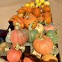 Photo of Apple Annie's Produce & Pumpkins