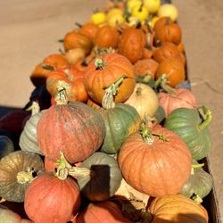 Apple Annie's Produce & Pumpkins