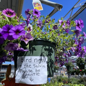 Friedmans Home Improvement- Sonoma - Nurseries & Gardening Near Me - Sonoma, California Friedmans Home Improvement- Sonoma - Nurseries & Gardening Near Me - Sonoma, California
