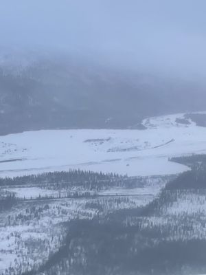 Northern Alaska Tour Company by null