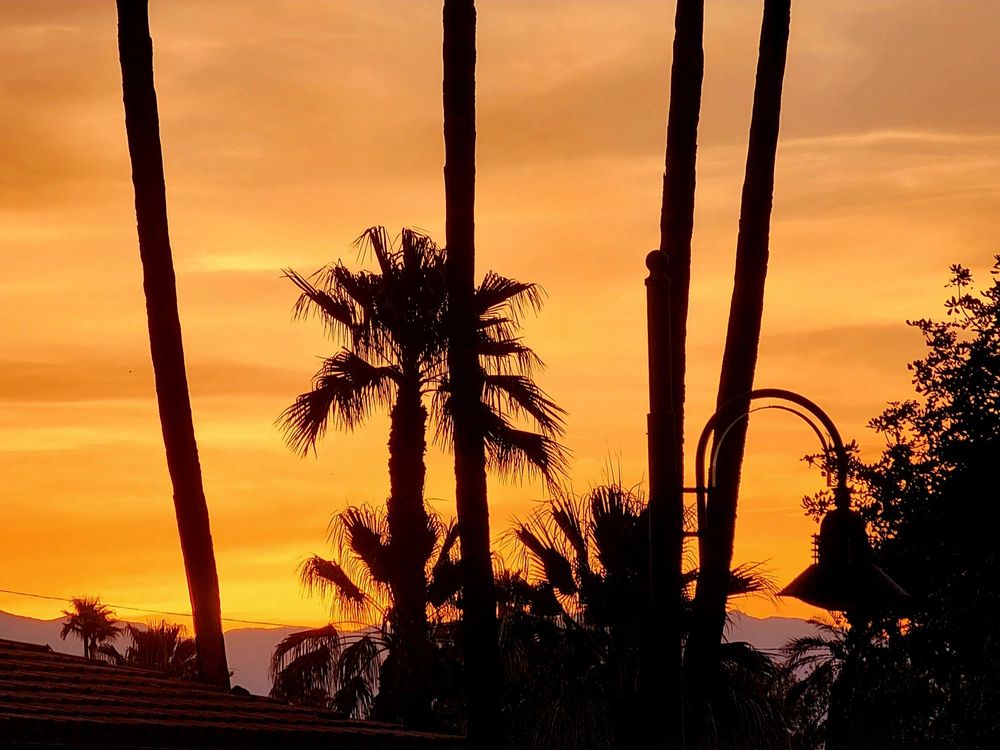 Desert Art Center - social services organization in Palm Springs, CA