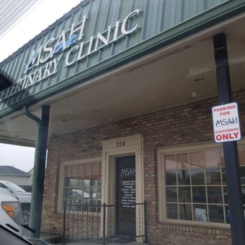 Metairie Small Animal Hospital Lakeview Clinic: Trusted Pet Care Experts