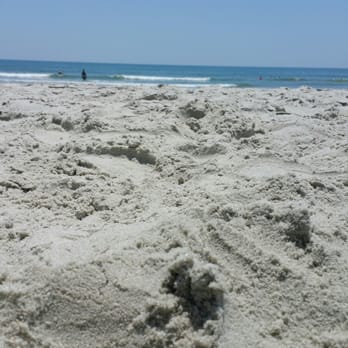Huntington Beach State Park - My cell's point of view - Parks Near Me - Murrells Inlet, South Carolina