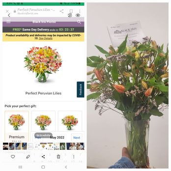 Black Iris Florist - What I ordered and what I got. - Florists Near Me - Virginia Beach, Virginia Black Iris Florist - What I ordered and what I got. - Florists Near Me - Virginia Beach, Virginia