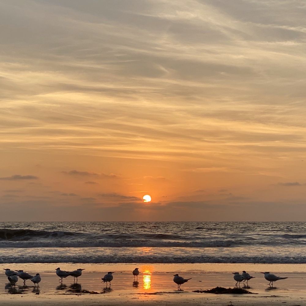Manhattan Beach - LA BEACH - Beaches Near Me - Manhattan Beach, California Manhattan Beach - LA BEACH - Beaches Near Me - Manhattan Beach, California