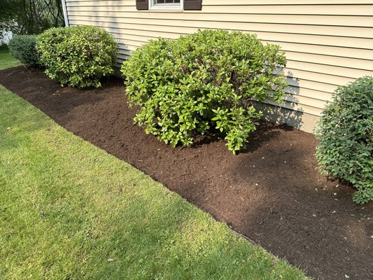 Edging and mulch - Weeded and debris removed then edged and mulched Edging and mulch - Weeded and debris removed then edged and mulched