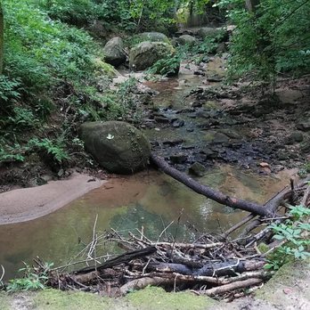 Cascade Springs Nature Preserve - Parks Near Me - Atlanta, Georgia Cascade Springs Nature Preserve - Parks Near Me - Atlanta, Georgia