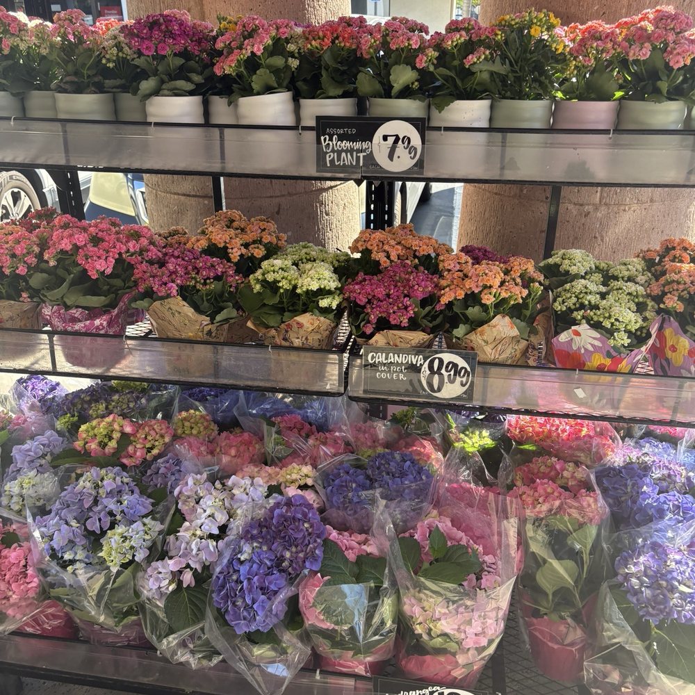 Trader Joe's - Grocery Near Me - Brea, California Trader Joe's - Grocery Near Me - Brea, California