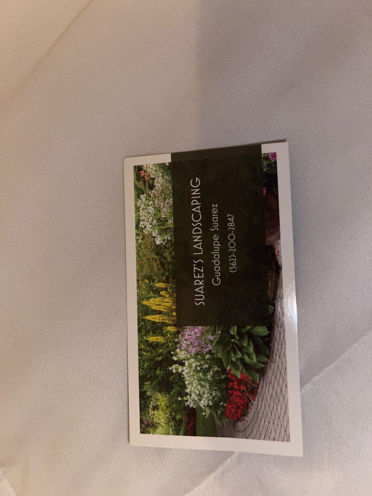 SUAREZ LANDSCAPING Request a Quote Long Beach, California Tree