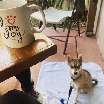 Sam's Log Cabin - Dog friendly and FUN mugs! - Breakfast & Brunch Near Me - Albany, California Sam's Log Cabin - Dog friendly and FUN mugs! - Breakfast & Brunch Near Me - Albany, California