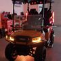 Photo of Ron's Custom Golf Carts