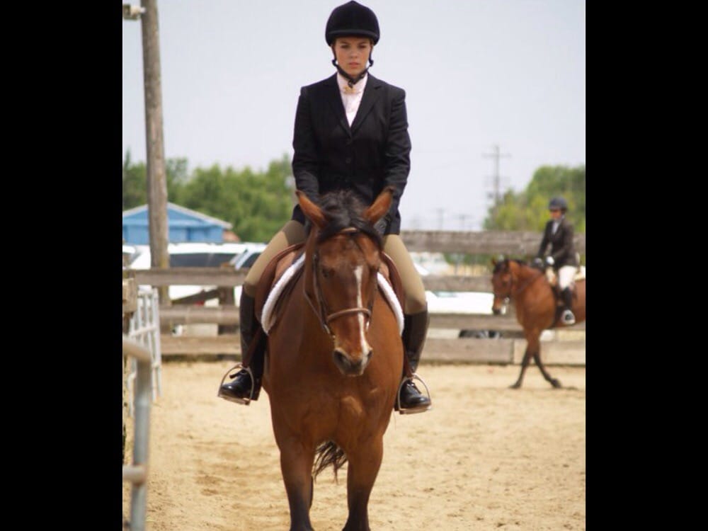 FOREST LAKE BOARDING STABLES Updated September 2024 25303 N Lower