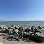 Photo of Island House Bicycle Rental